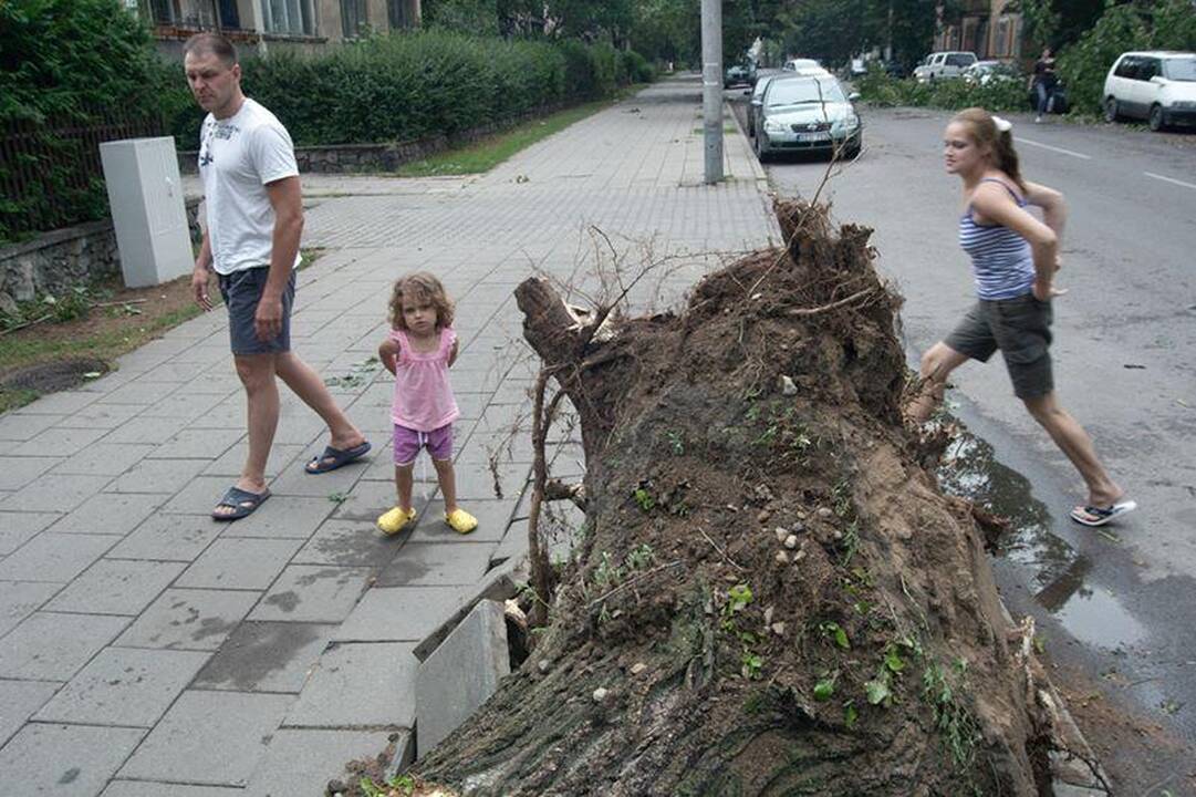 Elektros dar neturi apie 3 tūkst. vartotojų (dar atnaujinta)