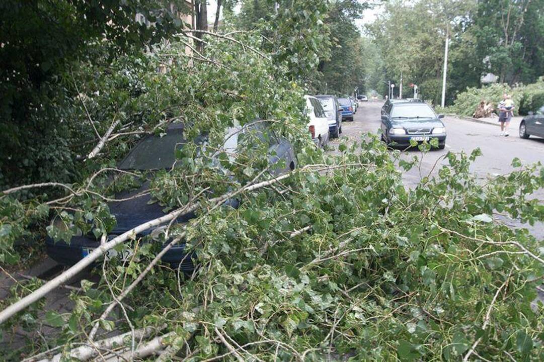 Elektros dar neturi apie 3 tūkst. vartotojų (dar atnaujinta)