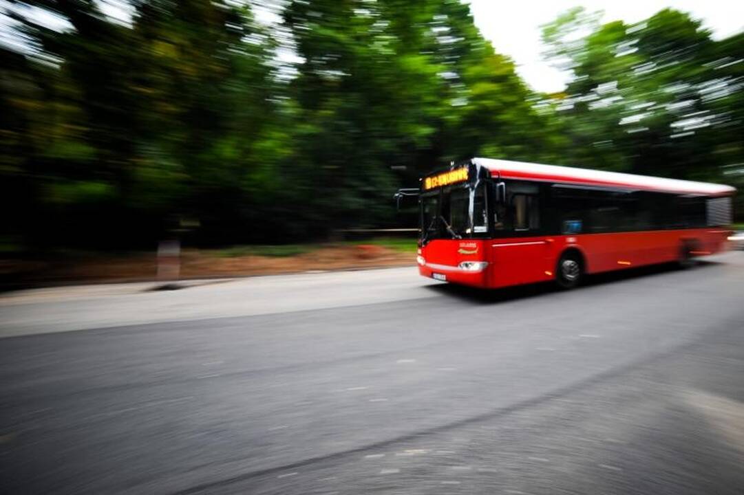 Parodos kalnu          vėl rieda autobusai 