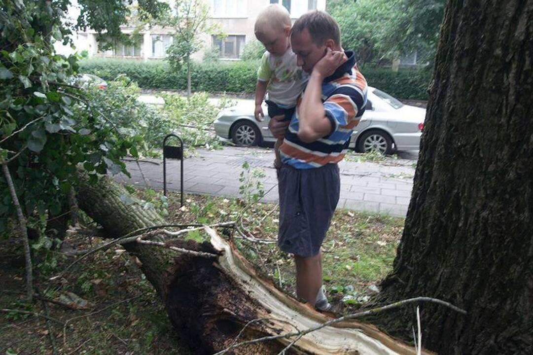 Elektros dar neturi apie 3 tūkst. vartotojų (dar atnaujinta)