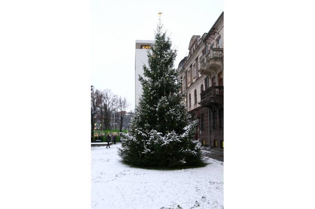 Eglutės įžiebimo šventėje studentai nepamiršo likimo nuskriaustų vaikų