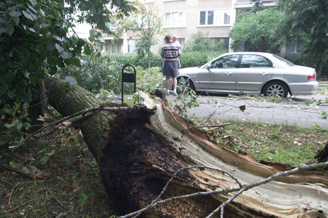 Elektros dar neturi apie 3 tūkst. vartotojų (dar atnaujinta)