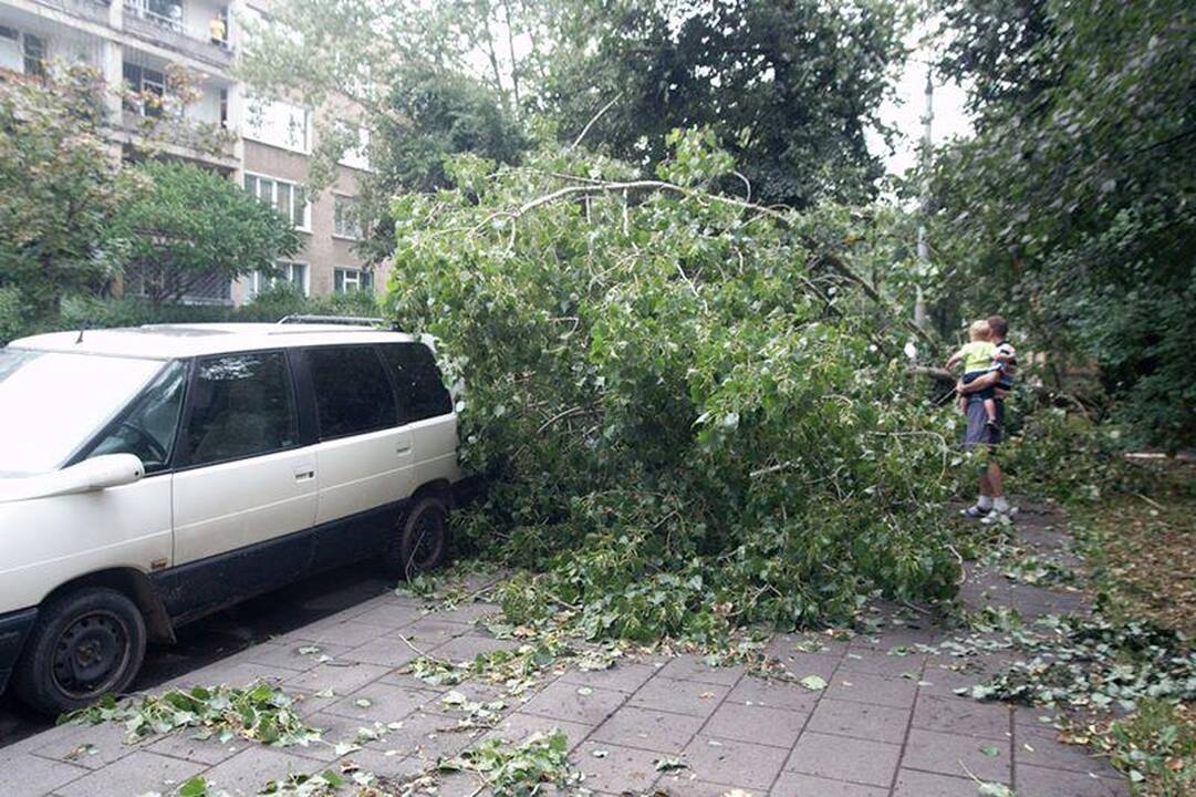 Elektros dar neturi apie 3 tūkst. vartotojų (dar atnaujinta)