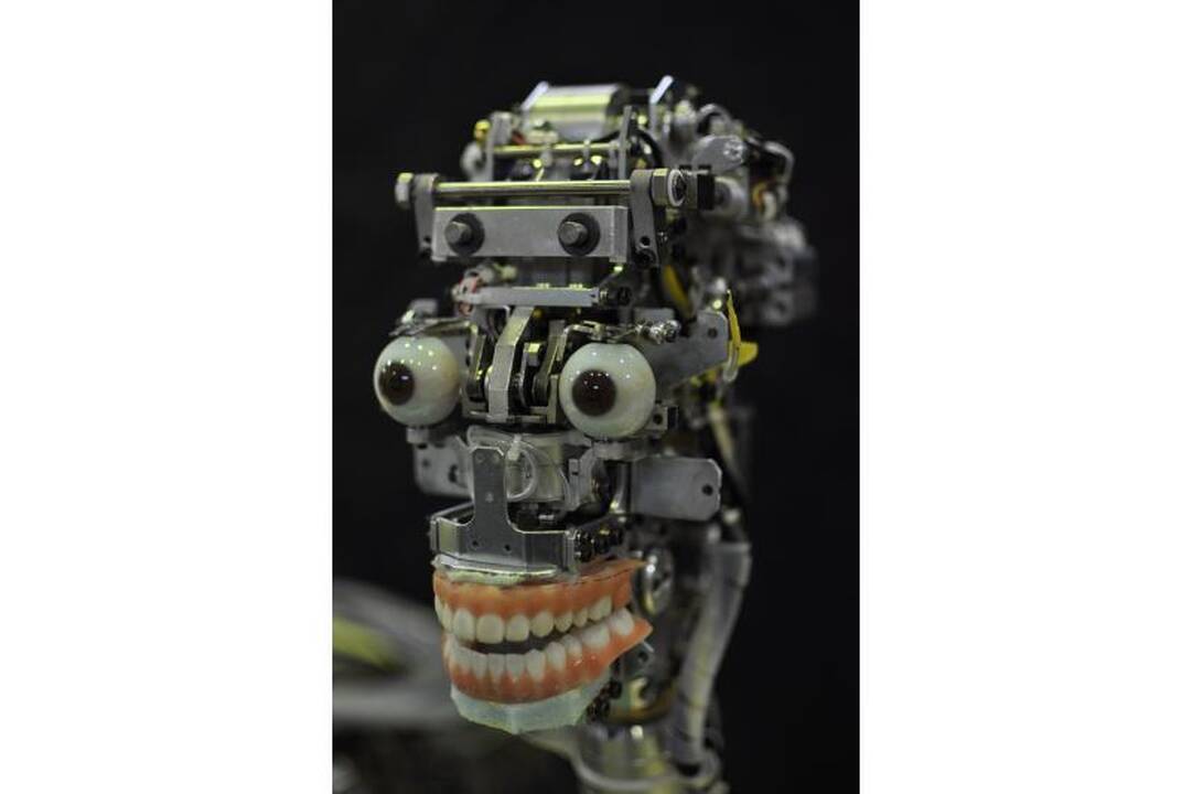 Atsargiai! Neįsimylėkite! Ji – tik robotas „Geminoid F”