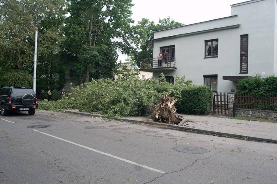 Elektros dar neturi apie 3 tūkst. vartotojų (dar atnaujinta)