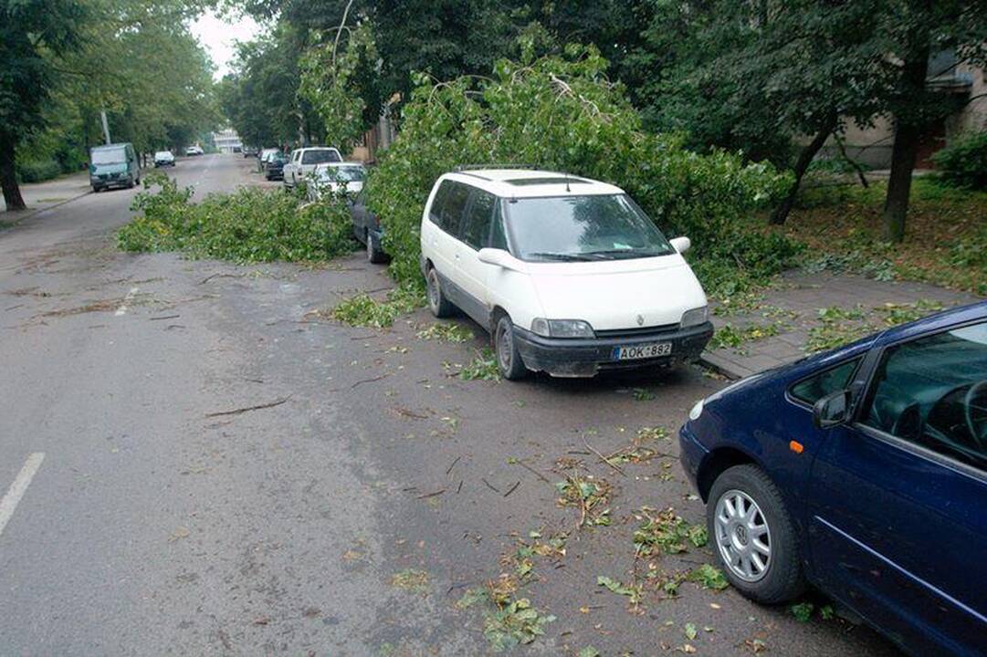 Elektros dar neturi apie 3 tūkst. vartotojų (dar atnaujinta)