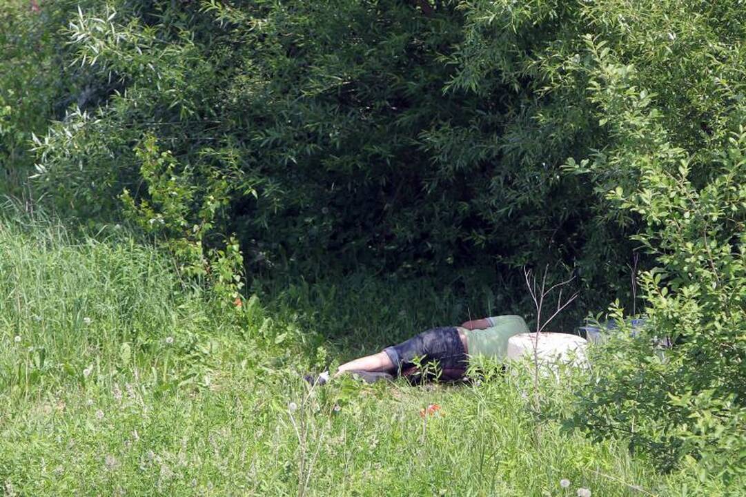 Sostinės daugiabučių papėdėje – daržininkų valdos