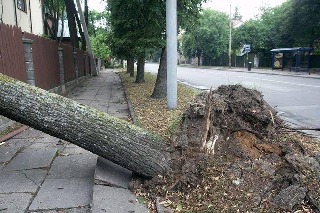 Elektros dar neturi apie 3 tūkst. vartotojų (dar atnaujinta)