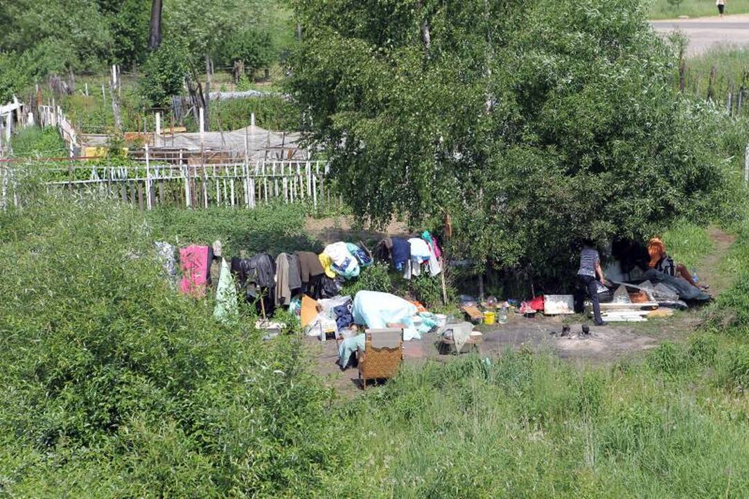 Sostinės daugiabučių papėdėje – daržininkų valdos