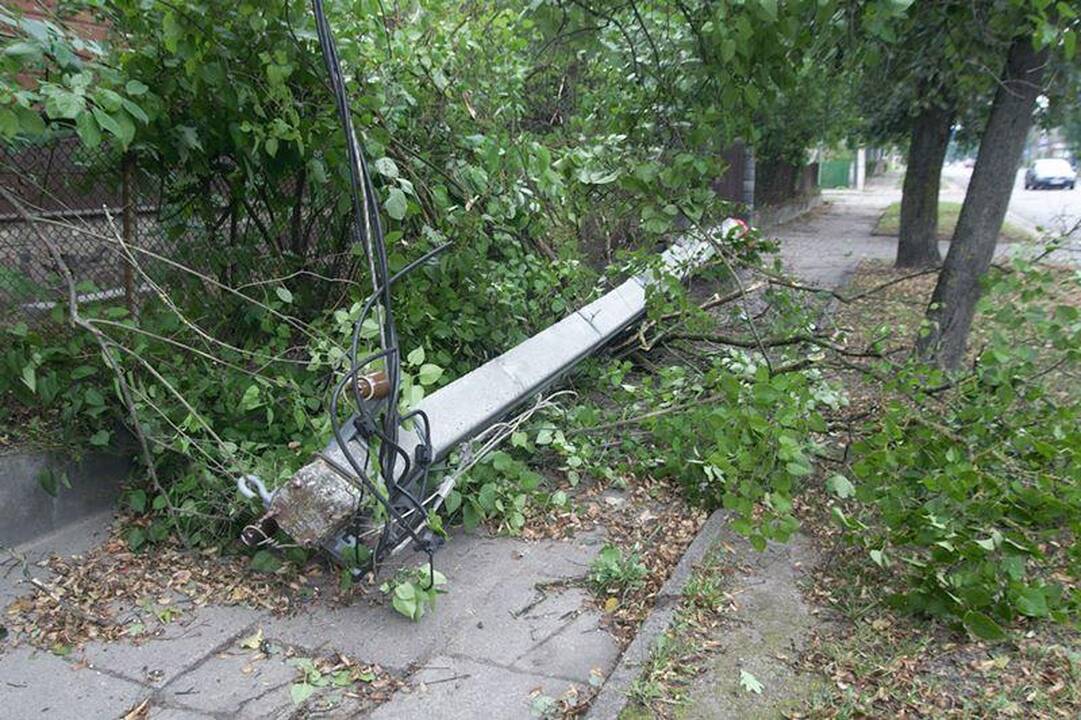 Elektros dar neturi apie 3 tūkst. vartotojų (dar atnaujinta)