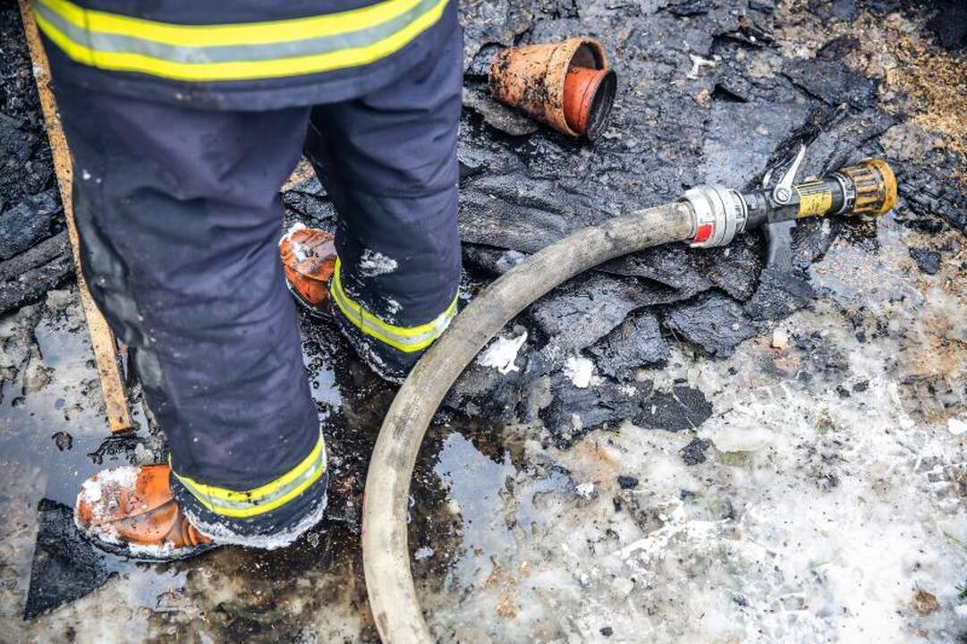 Per gaisrą Palemono gatvėje išgelbėti trys žmonės