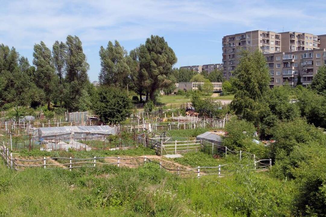Sostinės daugiabučių papėdėje – daržininkų valdos