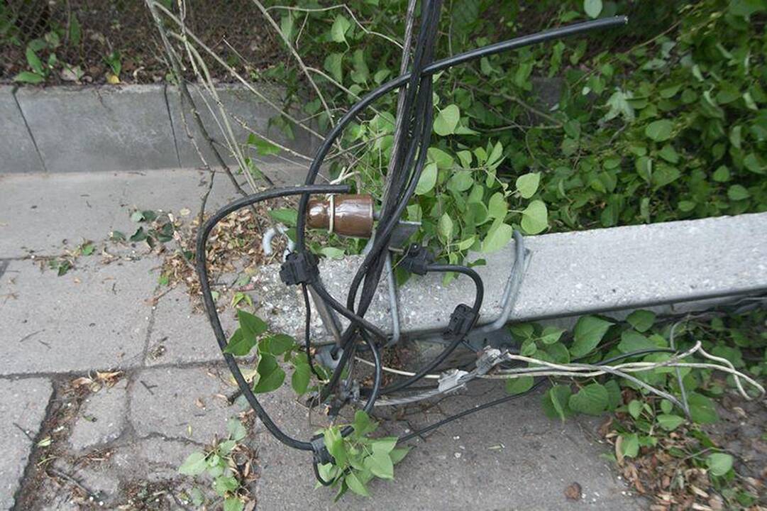 Elektros dar neturi apie 3 tūkst. vartotojų (dar atnaujinta)