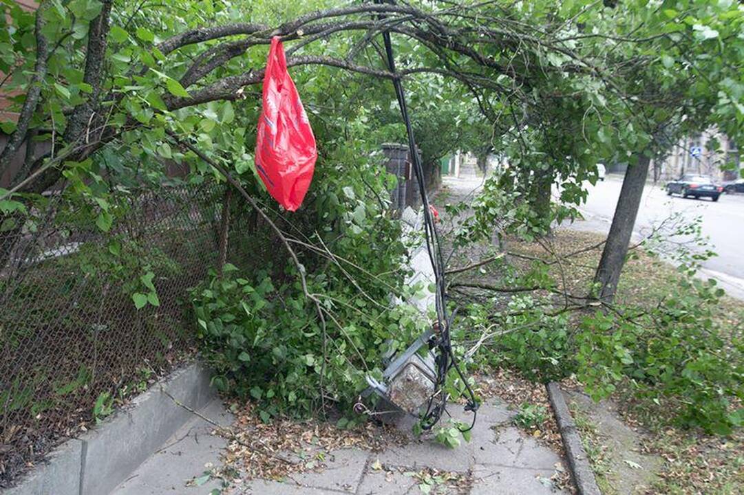 Elektros dar neturi apie 3 tūkst. vartotojų (dar atnaujinta)