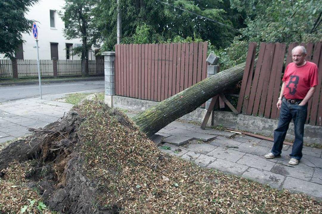 Elektros dar neturi apie 3 tūkst. vartotojų (dar atnaujinta)