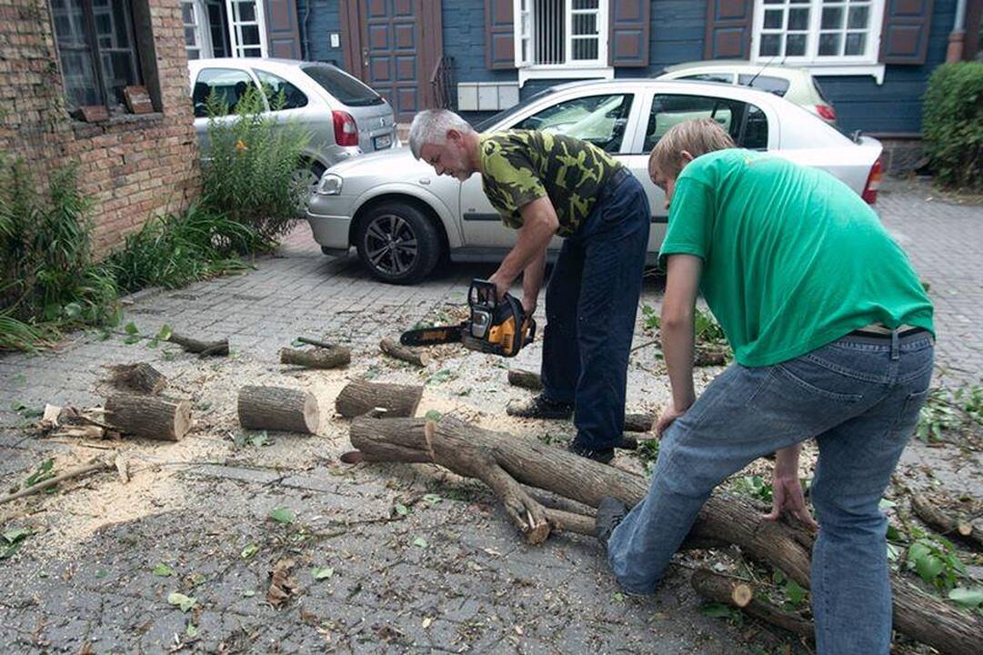 Elektros dar neturi apie 3 tūkst. vartotojų (dar atnaujinta)