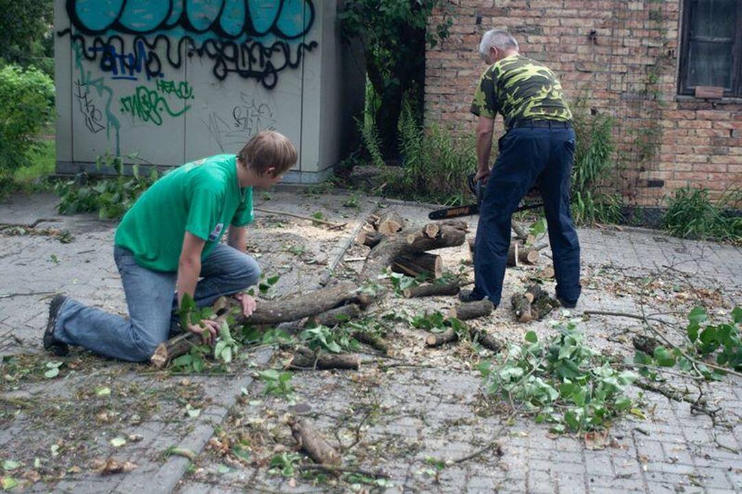 Elektros dar neturi apie 3 tūkst. vartotojų (dar atnaujinta)