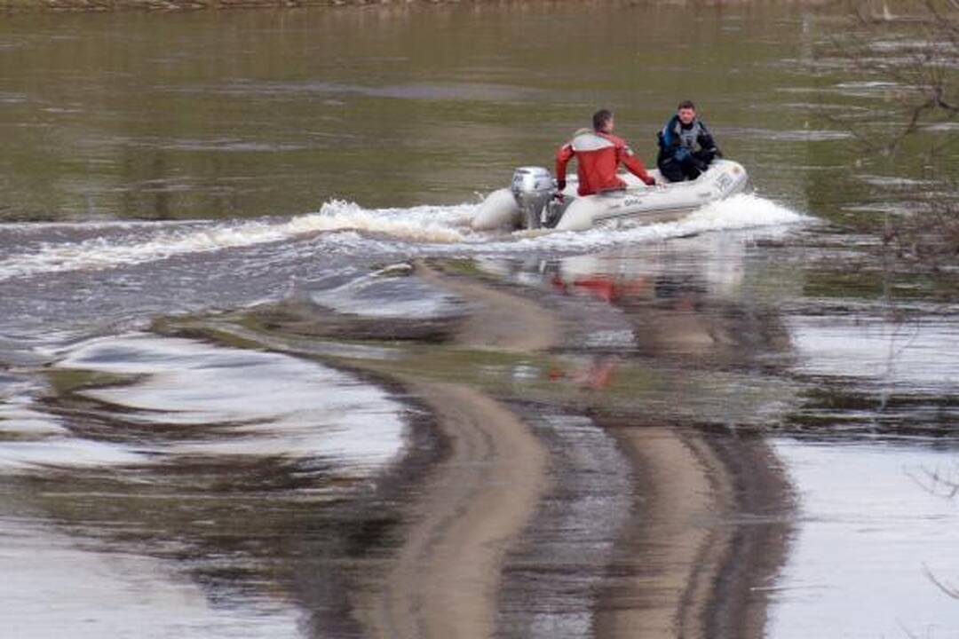 Nuo Baltojo tilto Vilniuje nušoko vyras (papildyta)