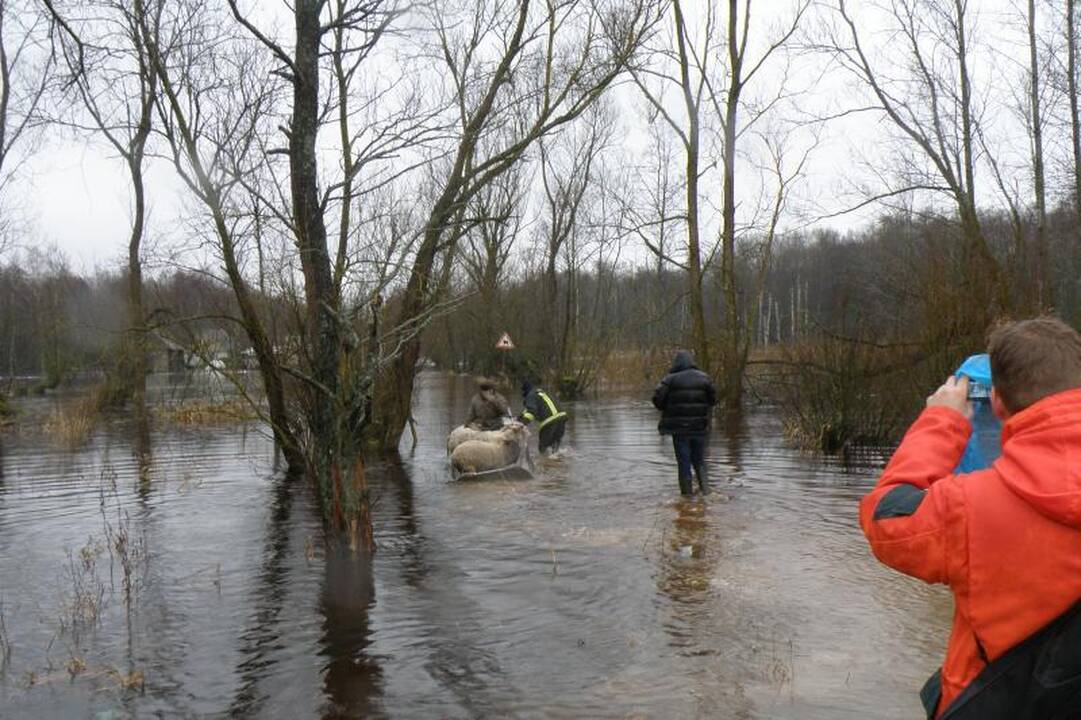 Šilutės rajone dėl potvynio paskelbta ekstremali situacija (papildyta)