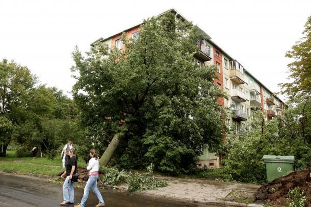 Sekmadienio naktį miestą nusiaubė audra (papildyta)