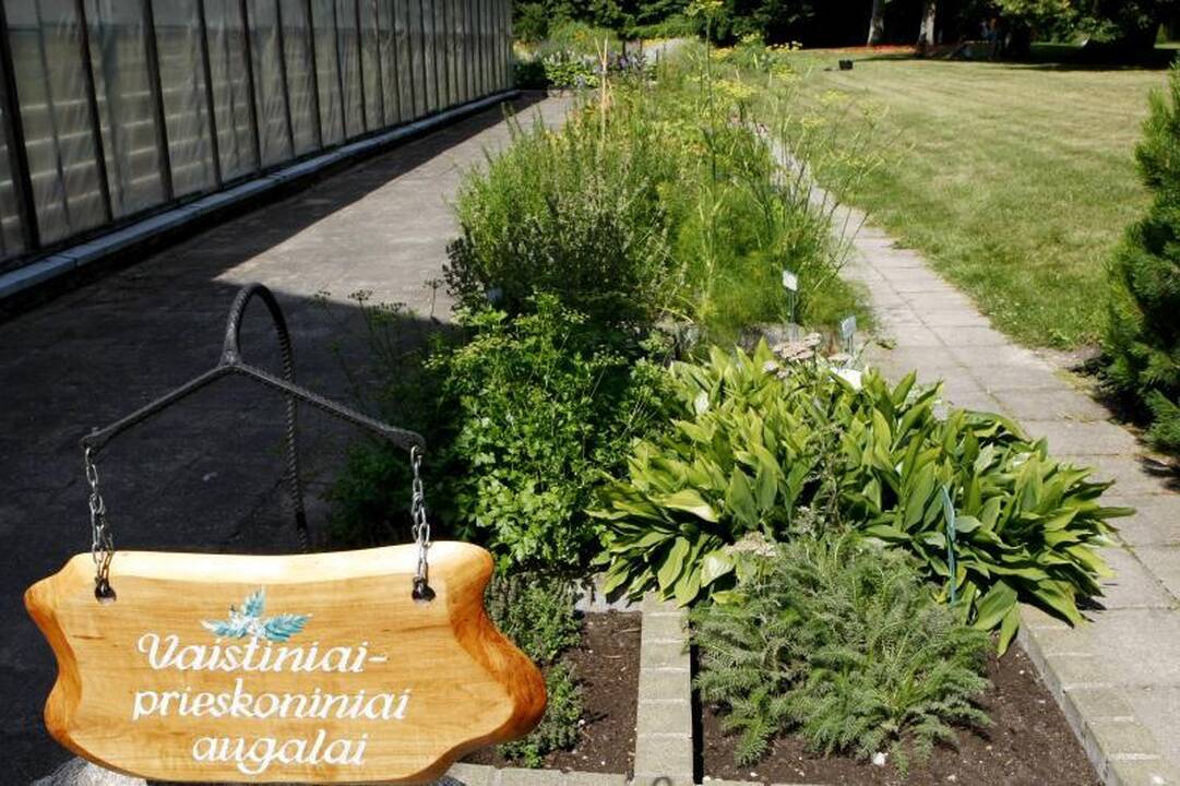 Surikiuoti Palangos Botanikos parko rekonstrukcijos darbai