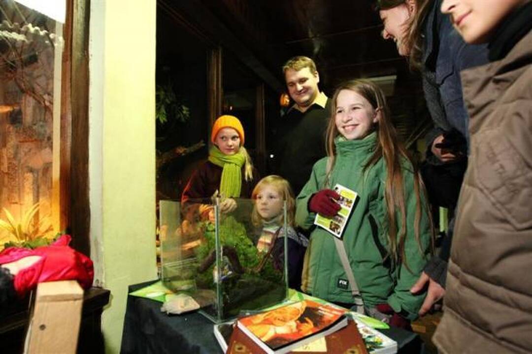 Helovino proga atsikąsk tarakono
