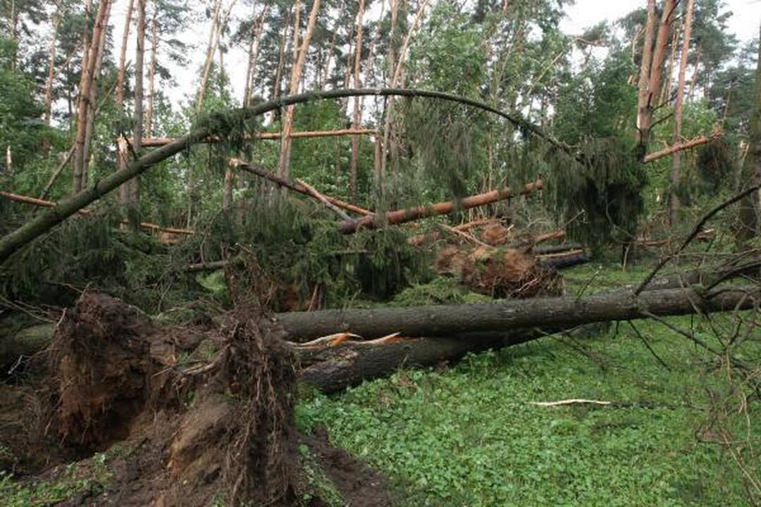 Sekmadienio naktį miestą nusiaubė audra (papildyta)