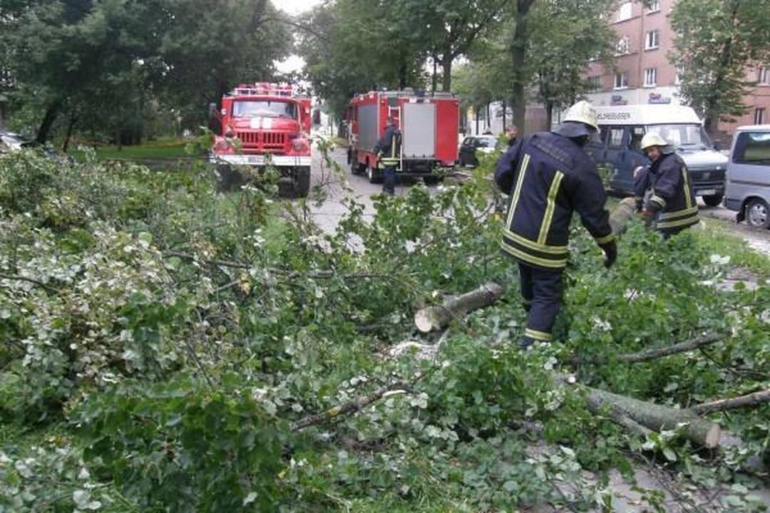 Vėjas Klaipėdoje išvertė medžius
