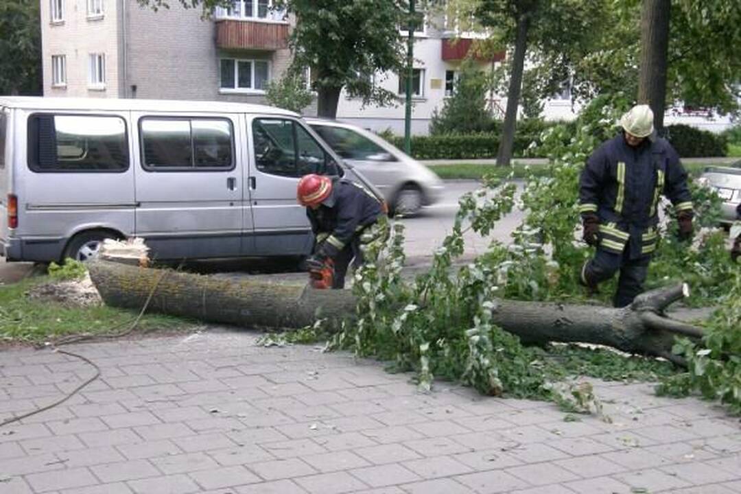 Vėjas Klaipėdoje išvertė medžius