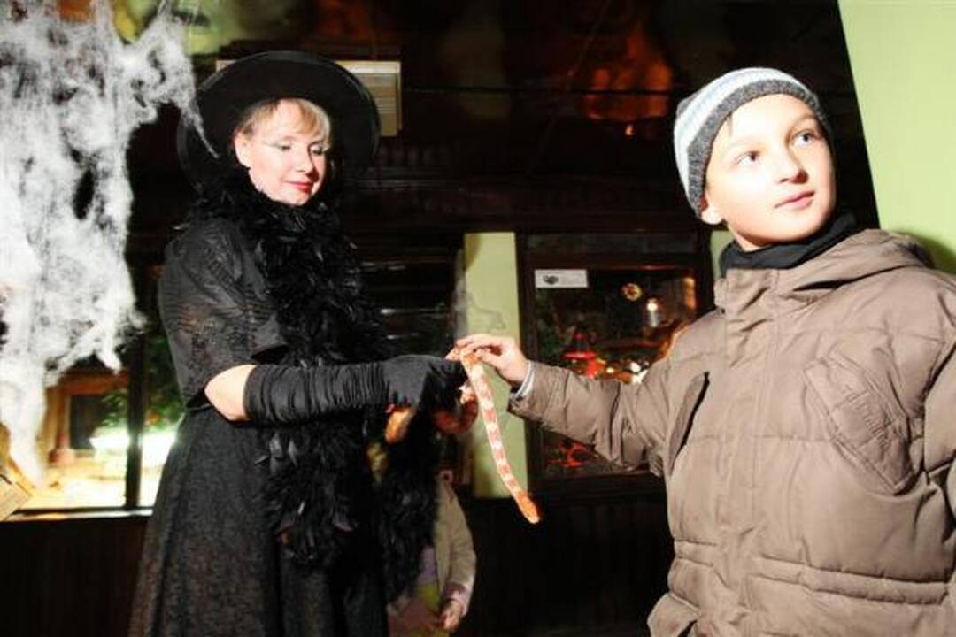Helovino proga atsikąsk tarakono