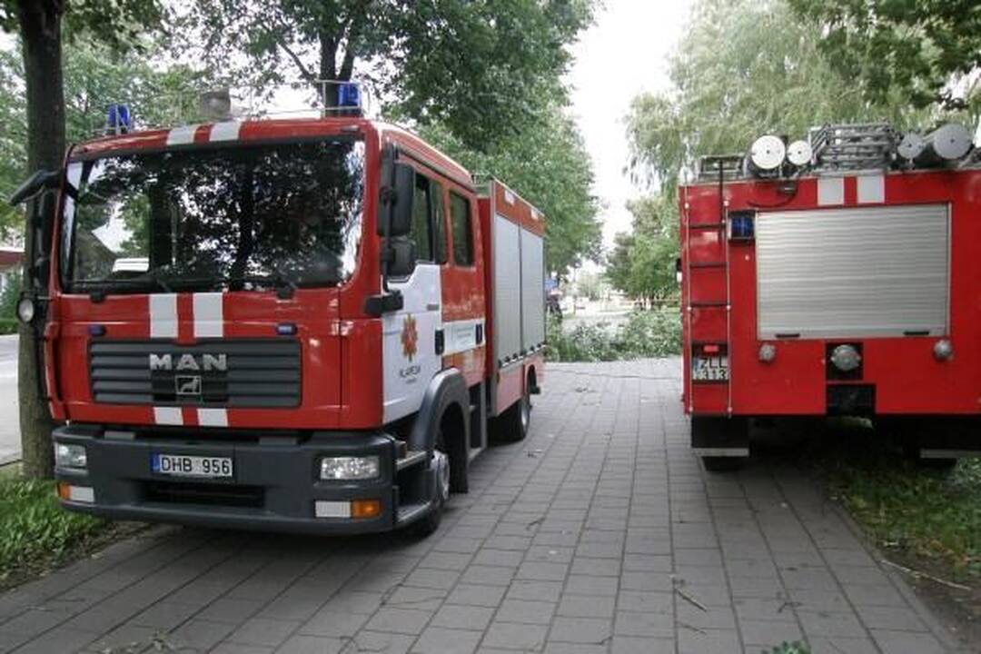 Vėjas Klaipėdoje išvertė medžius