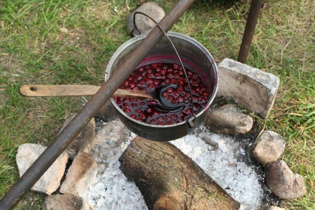 Ką daryti, kad iškylos gamtoje negadintų nuotaikos?