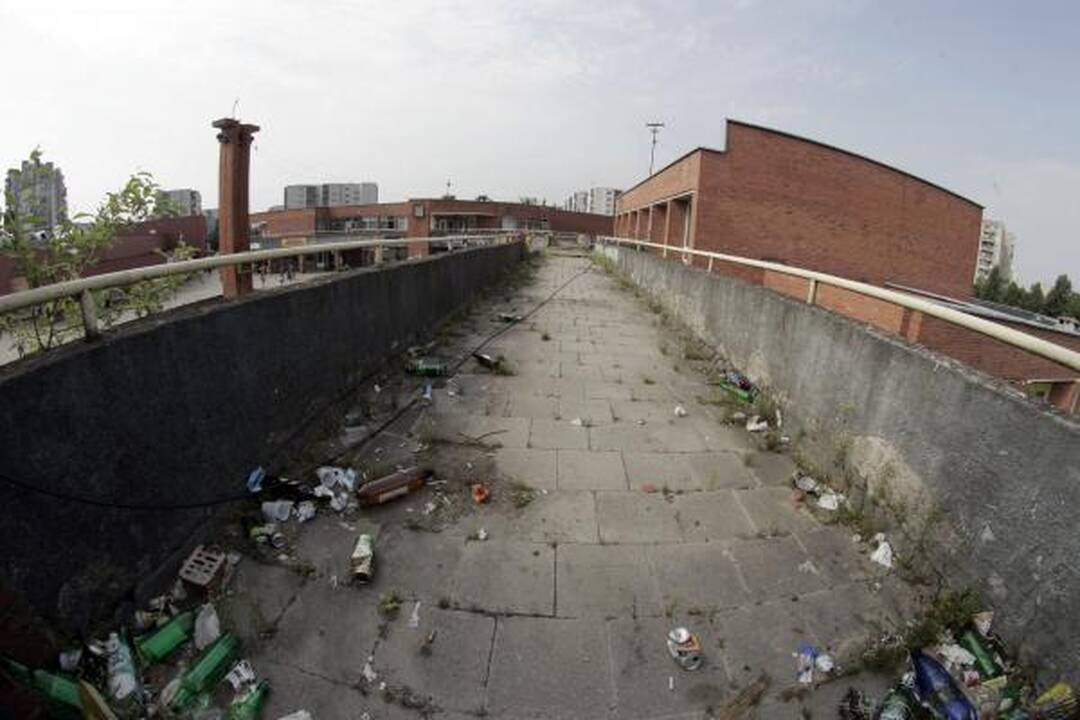 Vilniuje išdygs trimatė grafito skulptūra