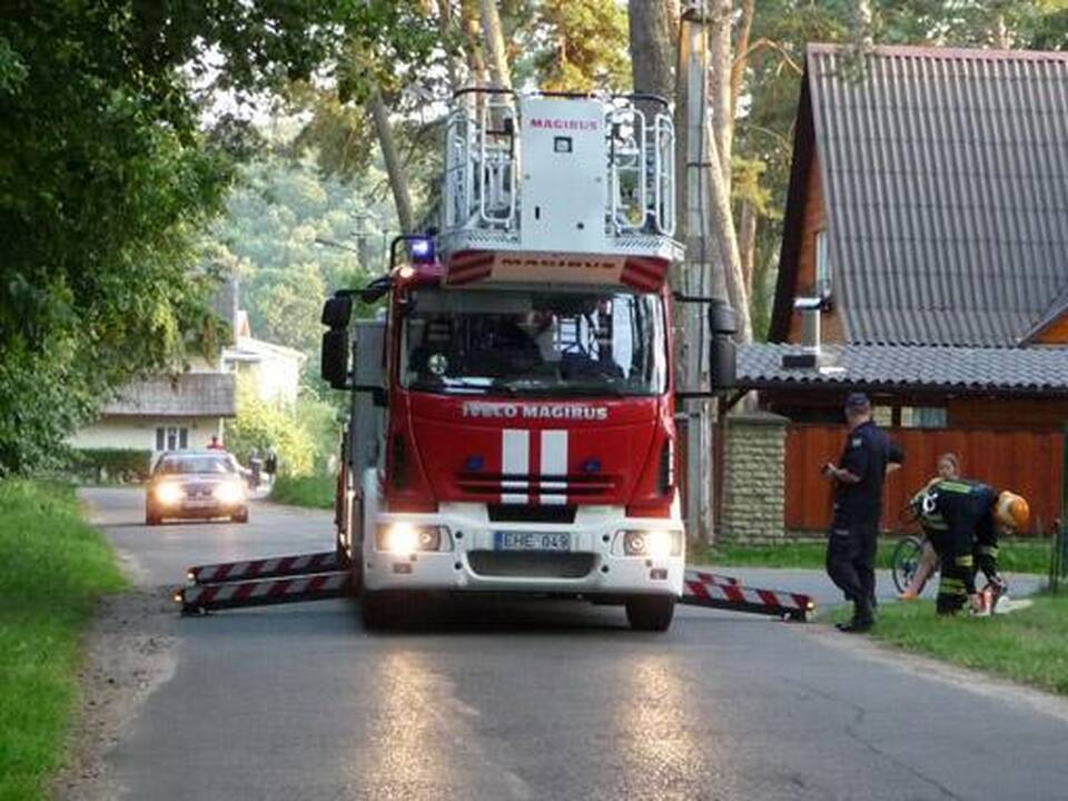 Lampėdžiuose nupjauta nulūžusi pušies šaka