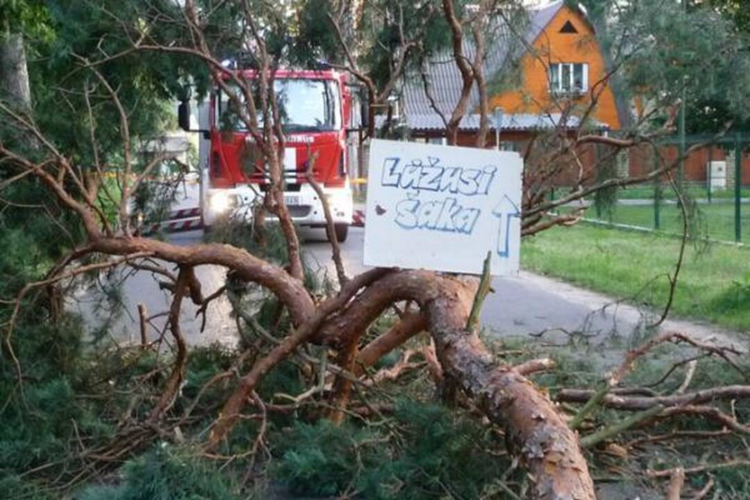 Lampėdžiuose nupjauta nulūžusi pušies šaka
