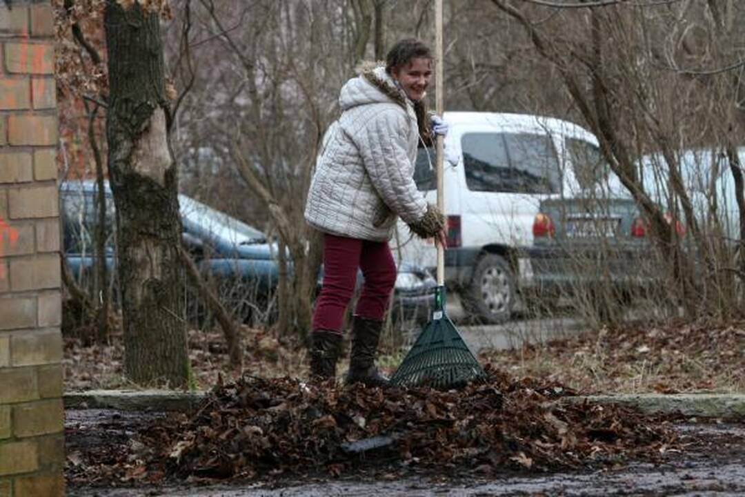 Bjaurus oras rinkti šiukšlių poilsio parke netrukdė