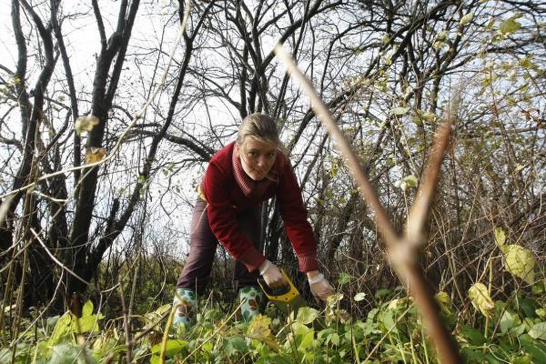 „5 pėdutės“ keliasi į naujas patalpas