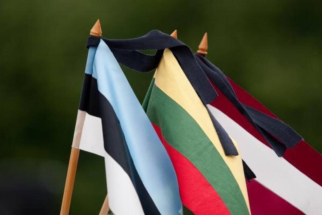 Lietuvos okupacijos 70-metis pažymėtas eitynėmis ir mitingu