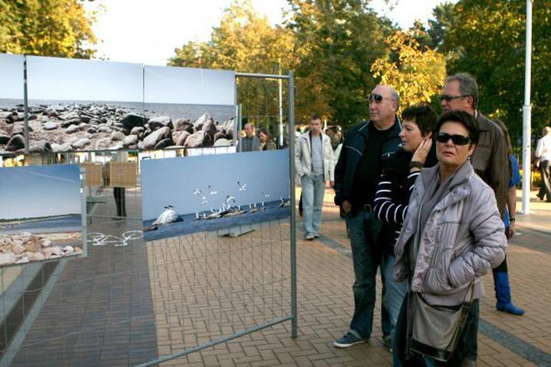 Palangoje išsirikiavo tūkstantis stalų