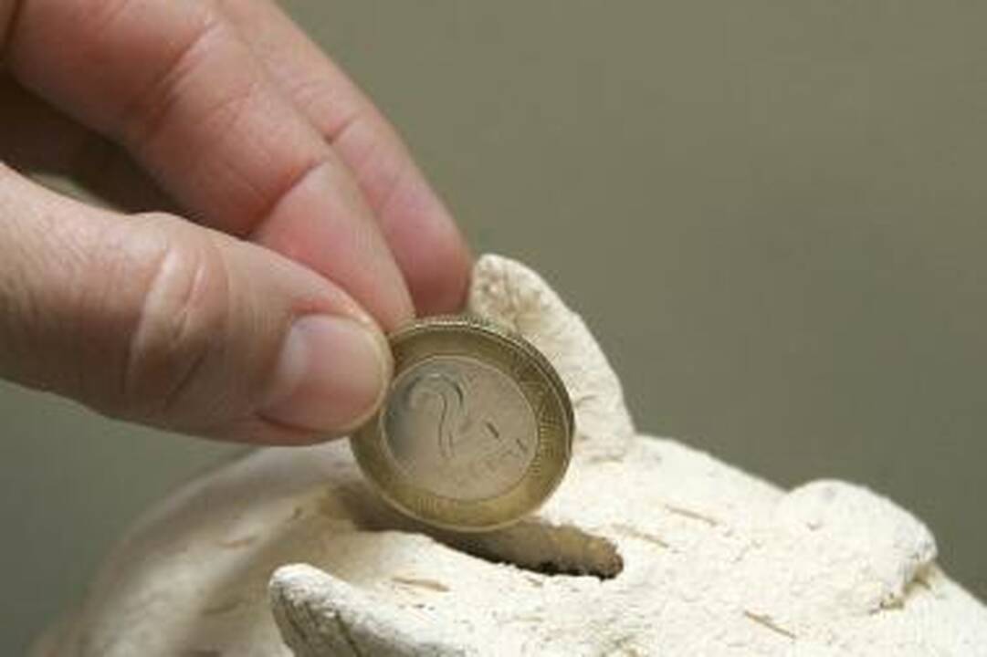 Patologinis vokiečių taupumas nebešokiruoja