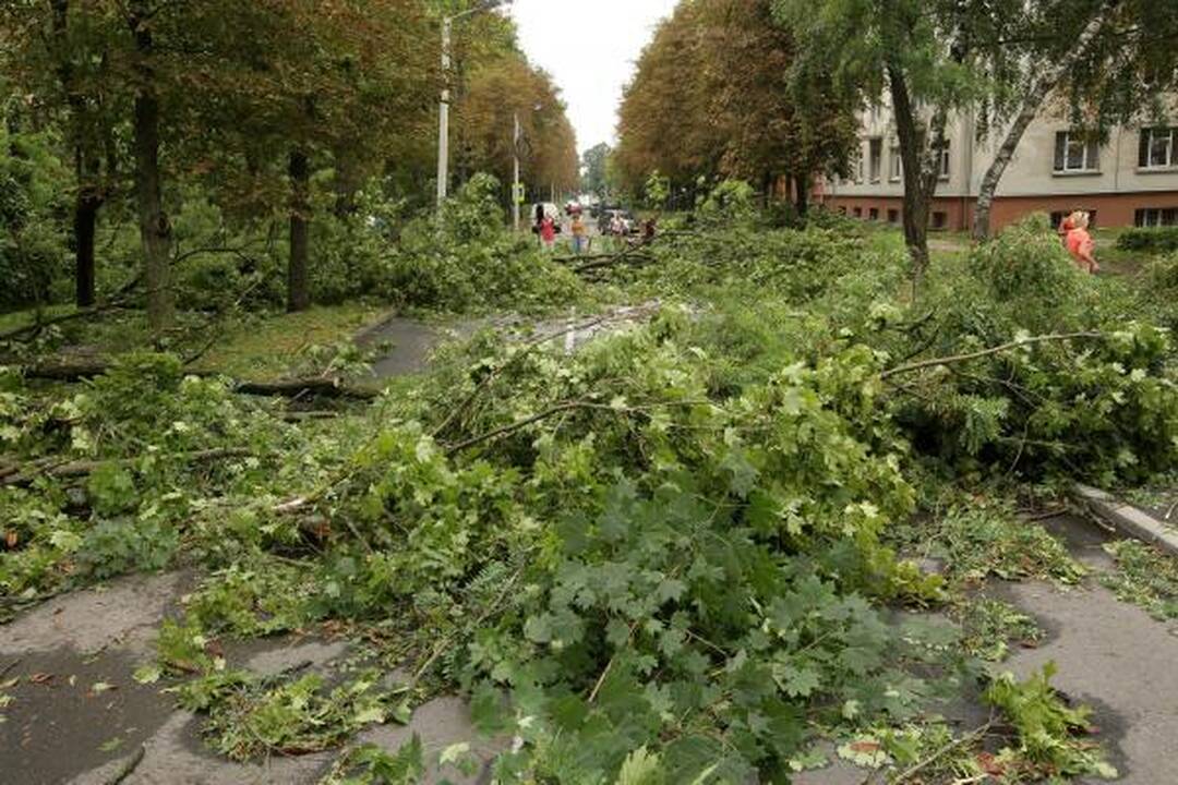 Sekmadienio naktį miestą nusiaubė audra (papildyta)