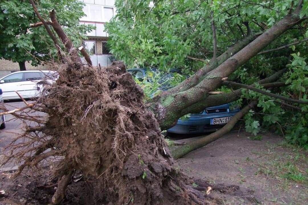 Audra gyventojų turtui atnešė 1,5 mln. litų žalos (atnaujinta)