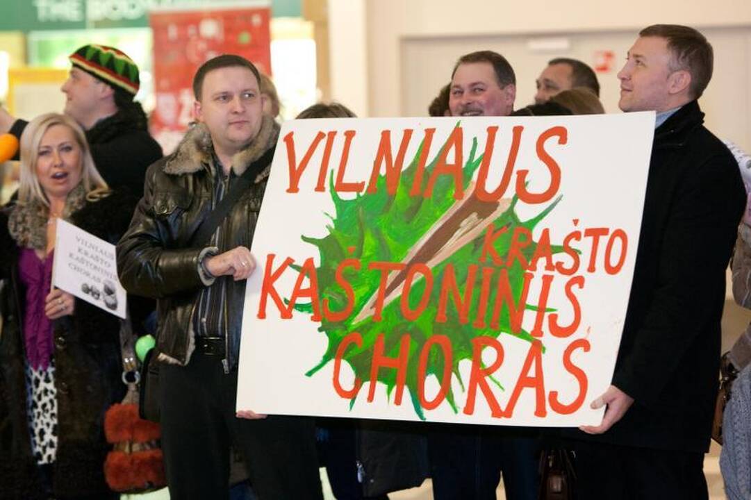 Kaštoninis Vilniaus krašto choras nusiteikęs laimėti