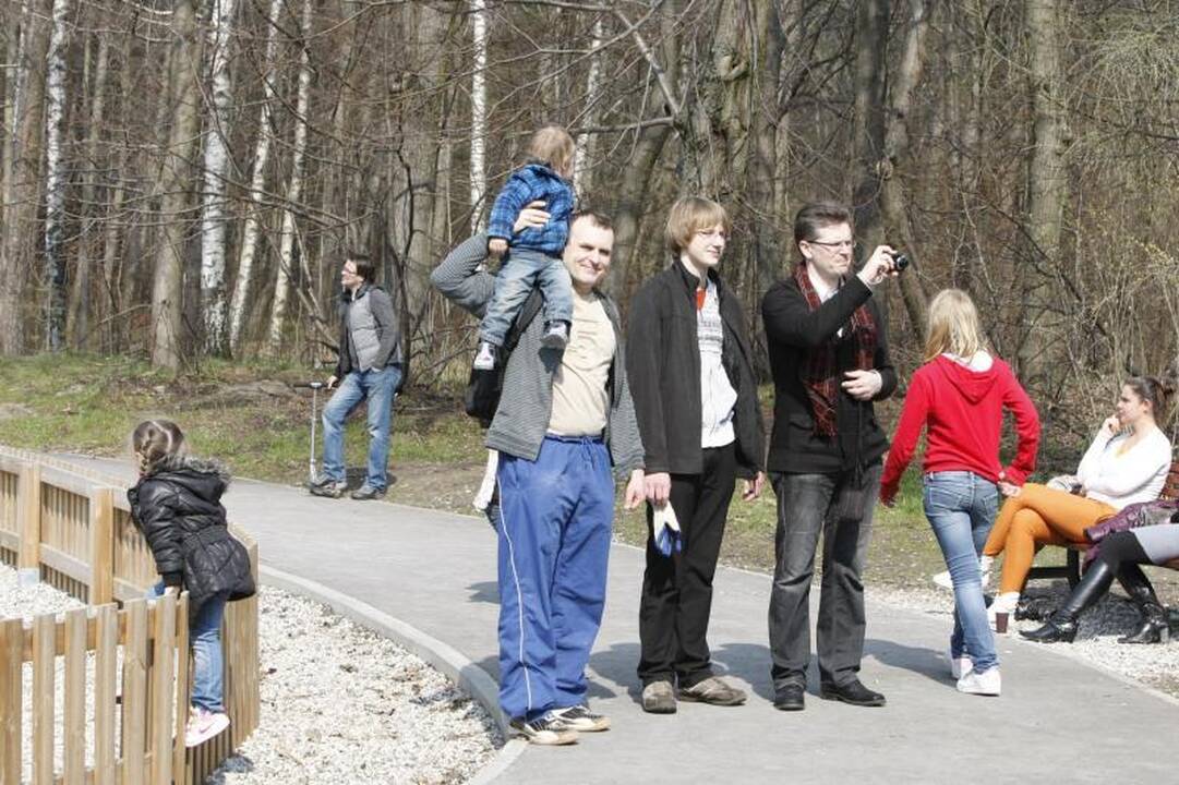 Akcijos „Darom 2012“ metu šiukšles kuopė ir iš Danės dugno