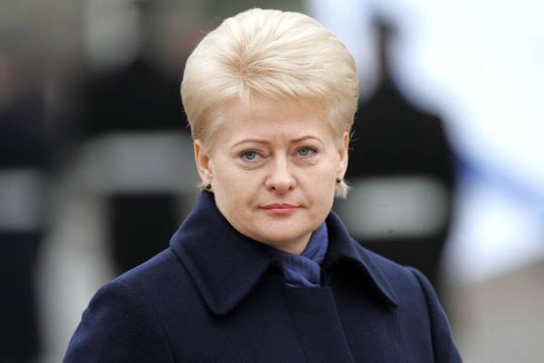 Kariuomenės vadas A.Pocius: “seržantų reforma” bus tęsiama 
