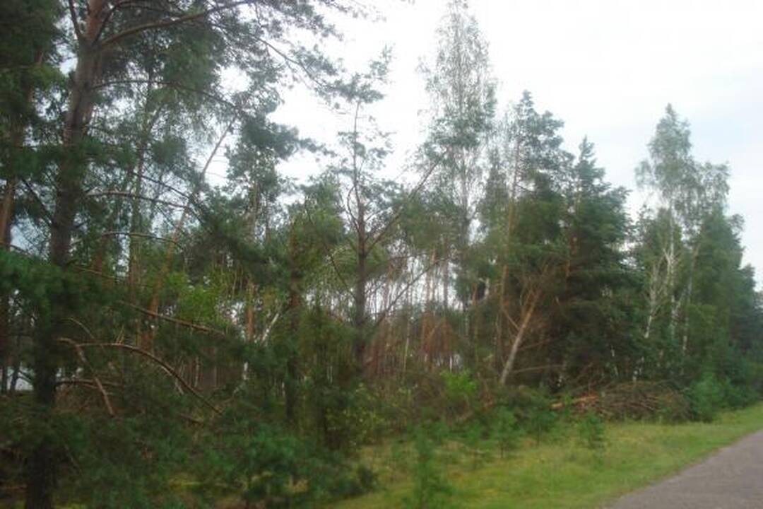 Škvalas pasiglemžė mažiausiai 4 žmonių gyvybes (patikslinta)
