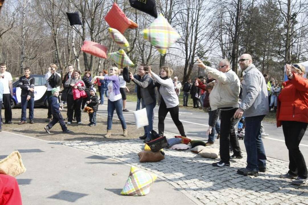 Akcijos „Darom 2012“ metu šiukšles kuopė ir iš Danės dugno
