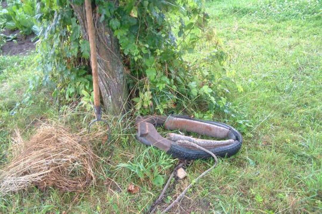 Telšiuose žaibas nutrenkė vadeliotoją ir padegė vežimą (papildyta)