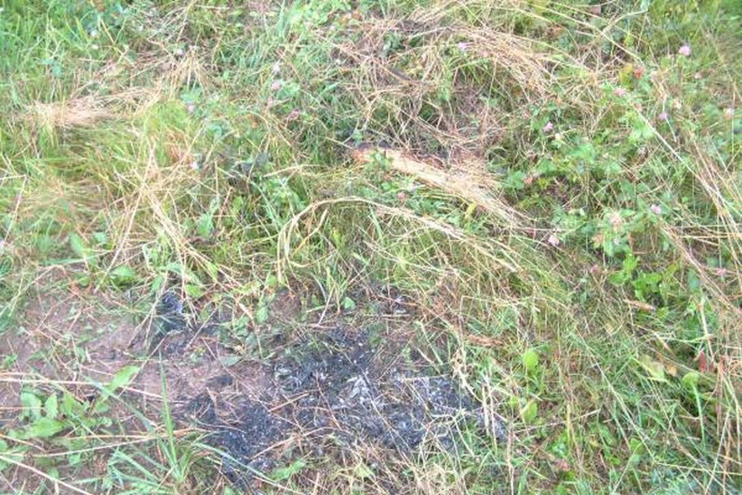 Telšiuose žaibas nutrenkė vadeliotoją ir padegė vežimą (papildyta)