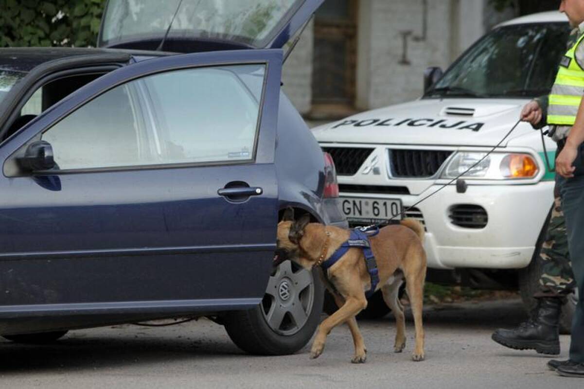 Policija gaudė nuo narkotikų apsvaigusį jaunimą